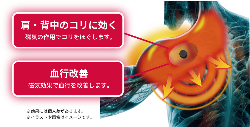 肩 背中のコリに効く